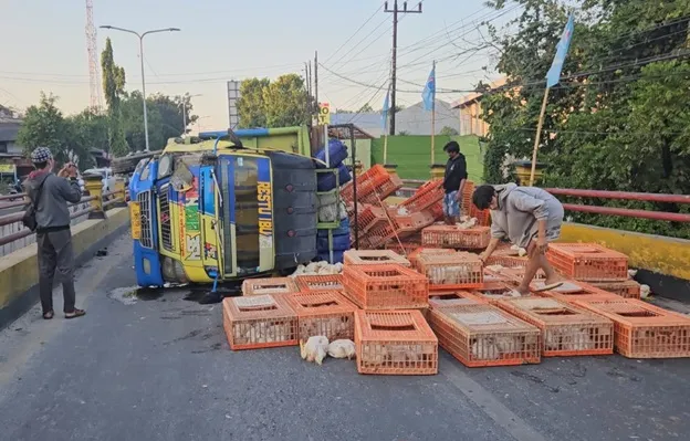 Ngantuk, Truk Bermuatan Ayam Tabrak Pembatas Jembatan Catur Madiun lalu Hantam Bus Restu Foto BeritaJatim.com