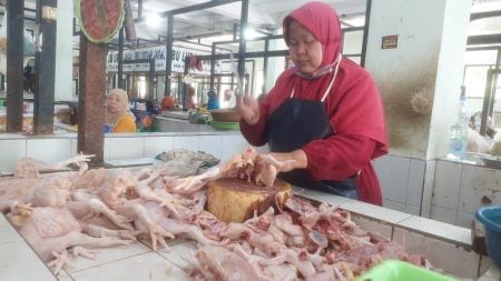 Sekolah Masuk dan MBG Bergulir Lagi, Harga Ayam di Madiun Kembali Naik Foto BeritaJatim.com