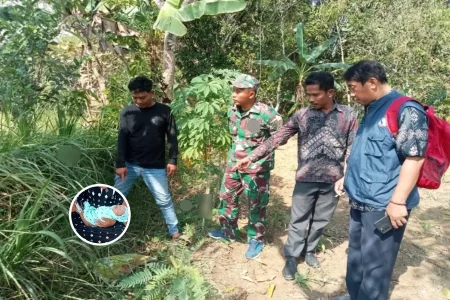 Bayi Laki-laki Baru Lahir Ditemukan di Bangkalan, Polisi Selidiki Pelaku Pembuangan Foto BeritaJatim.com