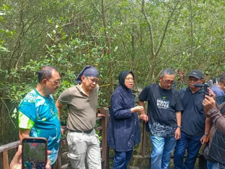 BRIDA Surabaya Tambah Koleksi Mangrove Kebun Raya Jadi 100 Jenis Tahun Depan Foto BeritaJatim.com