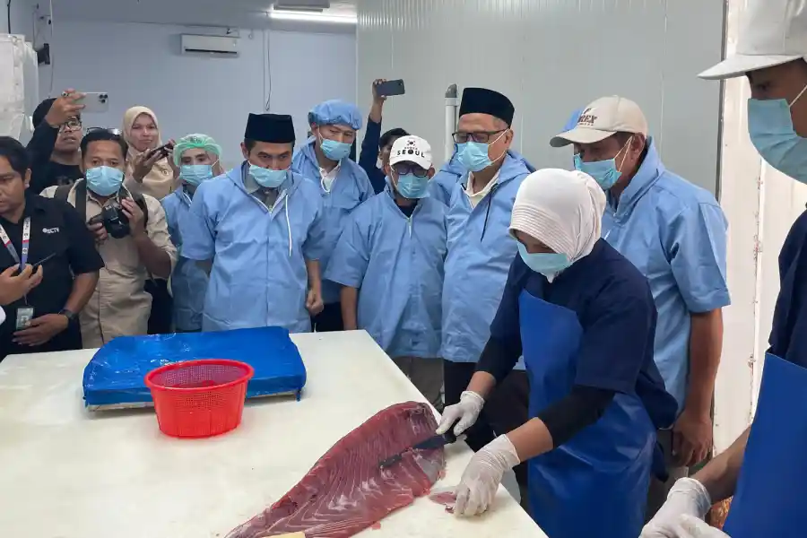 Jajaki Ekspor ke Arab Saudi, Menhaj Tinjau Buton Indo Tuna di Baubau Foto BeritaJatim.com