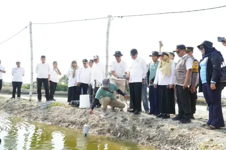 Modernisasi Perikanan di Kampung Kerapu Lamongan Terus Digenjot Foto BeritaJatim.com