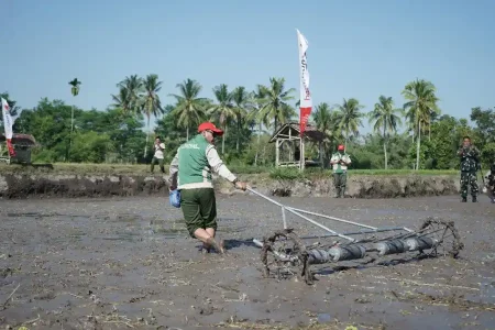 Dulu Pusing Pupuk Langka, 400 Petani Bondowoso Kini Sukses Tembus Pasar Kalimantan Foto BeritaJatim.com