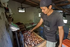 Foto BeritaJatim.com