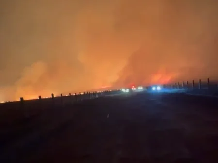 Karhutla Meluas di Sejumlah Pulau Indonesia, Ribuan Hektare Lahan Terbakar Sepanjang 2026 Foto BeritaJatim.com