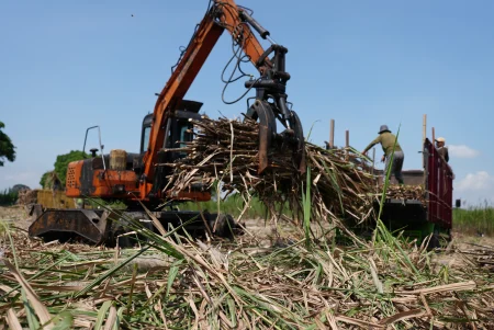 Harga Lelang Gula Terus Turun, Petani Tebu Kediri Usulkan Harga Acuan Naik Jadi Rp16.875 per Kg Foto BeritaJatim.com