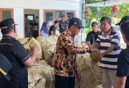 Pembelian Tembakau Pamekasan; Bukan Sekedar Persoalan Sampel Foto BeritaJatim.com
