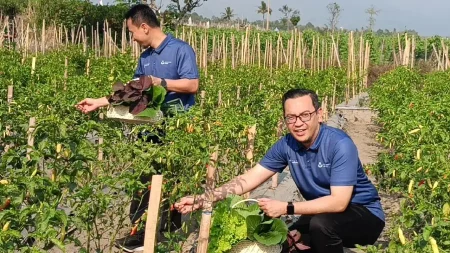 Pestani Rawit Groo: Strategi Petrokimia Dorong Produktivitas Cabai di Jatim Foto BeritaJatim.com