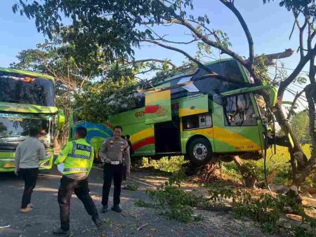Diduga Kurang Konsentrasi, Bus Gunung Harta Oleng lalu Tabrak Pohon di Tuban Foto BeritaJatim.com