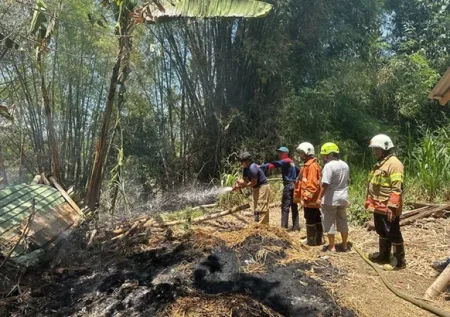Pembakaran Kotoran Sapi Picu Kebakaran Kandang dan Lahan Warga di Bondowoso Foto BeritaJatim.com