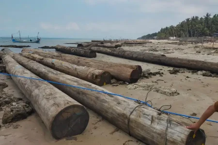 Evakuasi Ratusan Kayu Gelondongan di Dungkek Sumenep Terkendala Cuaca Buruk Foto BeritaJatim.com