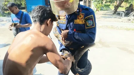Foto BeritaJatim.com