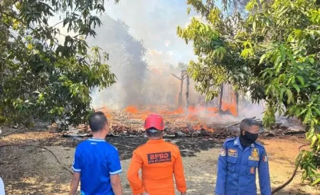 Rumah Warga Banjarejo Bojonegoro Ludes Terbakar, Kerugian Capai Rp150 Juta Foto BeritaJatim.com