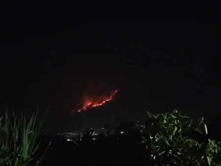 Kebakaran Gunung Arjuno Kembali Membara, BPBD Pasuruan Andalkan Pemadaman Jalur Darat Foto BeritaJatim.com