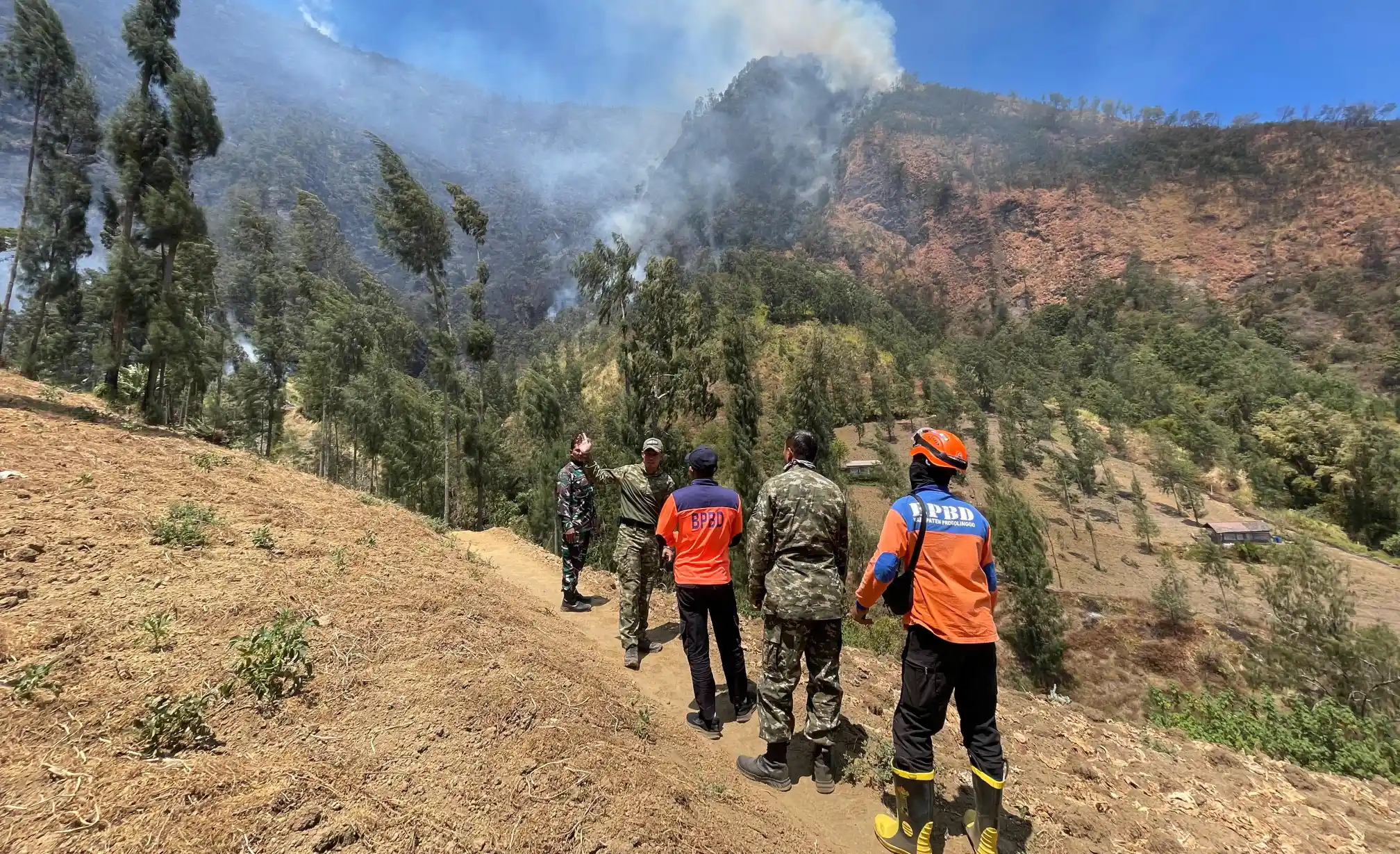 2 Kawasan Bromo Probolinggo Masih Terbakar, Petugas Kesulitan Menjangkau Titik Api