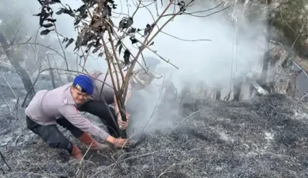 Cegah Kebakaran Meluas di Bromo, Personel BKO Polda Jatim Turun ke Lapangan Foto BeritaJatim.com