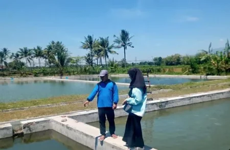 Tarik Investor Perikanan, DPRD Bondowoso Dorong Evaluasi Sewa Balai Benih Ikan Foto BeritaJatim.com