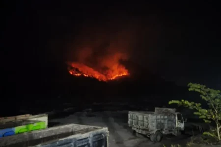 2 Hektare Hutan Gajah Mungkur Lumajang Terbakar, Api Masih Belum Padam Foto BeritaJatim.com