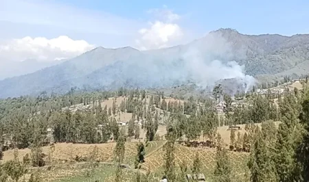 Kebakaran Hutan Kembali Terjadi di Lumajang, Api Sulit Dipadamkan karena Medan Terjal Foto BeritaJatim.com