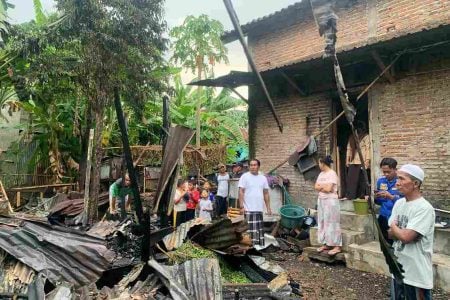 Kandang Ternak di Tamansari Bondowoso Terbakar, 2 Kambing Mati dan 2 Sapi Luka Bakar Foto BeritaJatim.com