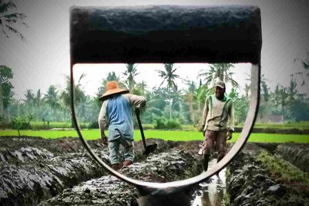 Raperda LP2B Bondowoso Masuk Finalisasi, Pansus Cari Titik Temu Perlindungan Sawah dan Investasi Foto BeritaJatim.com