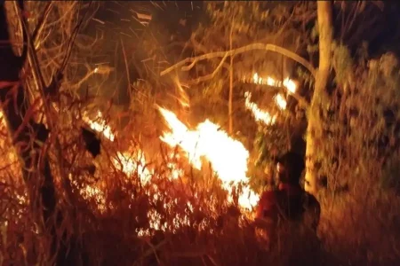 Medan Curam dan Angin Kencang Hambat Pemadaman Karhutla di Gondang Mojokerto Foto BeritaJatim.com