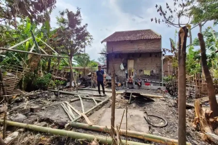 Api Pembakaran Jerami Merembet ke Kandang, Dua Kambing Mati Terbakar Foto BeritaJatim.com
