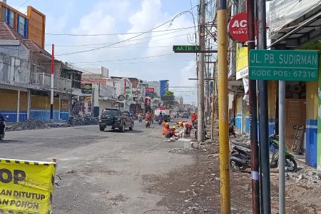 127 Pohon Lama Jalan PB Sudirman Lumajang Dibongkar, DLH Sebut Tak Bernilai Ekonomi Foto BeritaJatim.com