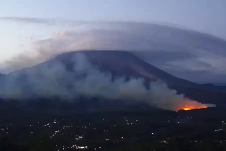 Kebakaran Hutan Pinus di Lereng Semeru Lumajang Belum Padam, Petugas Buat Sekat Bakar Foto BeritaJatim.com