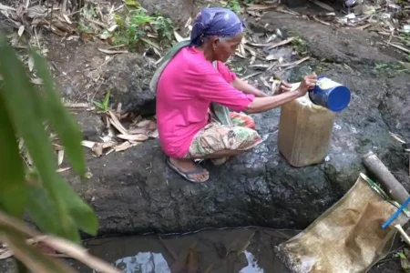Dampak Kemarau, Warga Lumajang Sampai Mengais Air Keruh Foto BeritaJatim.com