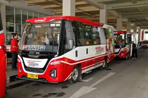 Surabaya Tambah 18 Mikrobus WiraWiri Rute Joyoboyo-Lakarsantri, Kapasitas Naik 2 Kali Lipat Foto BeritaJatim.com